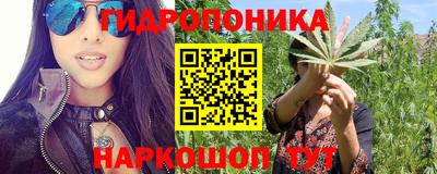 мдпв Кандалакша