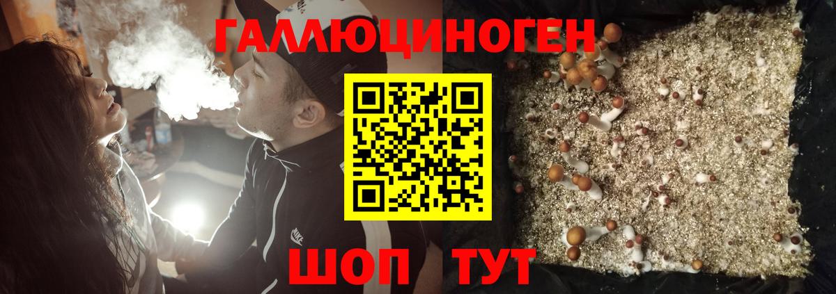 Галлюциногенные грибы ЛСД Кемерово