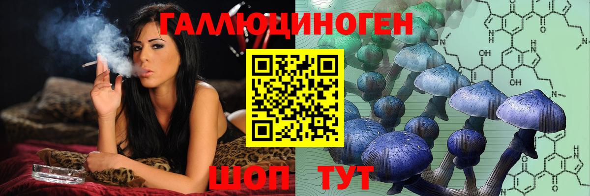 Кемерово  Галлюциногенные грибы Cubensis  Вход с VPN 